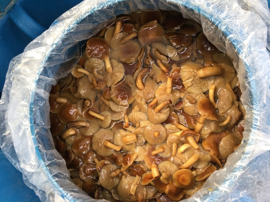 Delicious Frozen Mushrooms Perfect for Your Business Needs Nameko in Brine