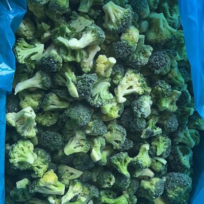 Broccoli Surgelato IQF di Alta Qualità Disponibile per Ristoranti Prezzo all'Ingrosso
