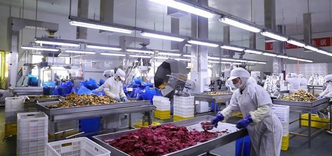 Lamponi surgelati sfusi di alta qualit&agrave; Imballaggio sfuso di lamponi surgelati Frutta 9