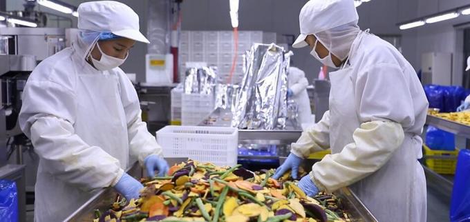 Lamponi surgelati sfusi di alta qualit&agrave; Imballaggio sfuso di lamponi surgelati Frutta 10