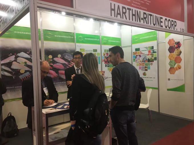 Lamponi surgelati sfusi di alta qualit&agrave; Imballaggio sfuso di lamponi surgelati Frutta 19