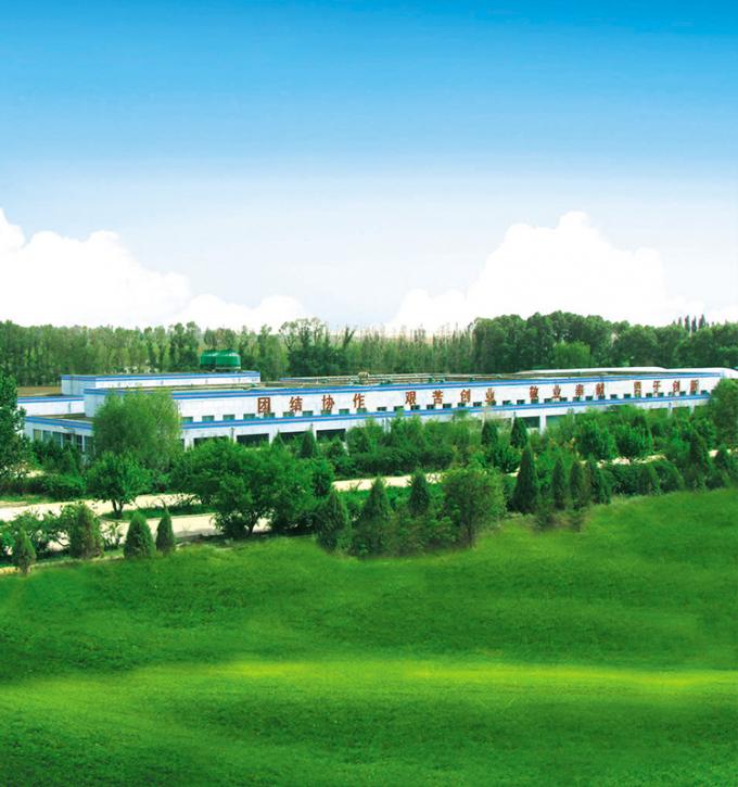 Sinocharm Prodotto 4 Stelle BRC-A Pesca Gialla Fresca 10x10mm Cubetti di Frutta Surgelata IQF Cubetti di Pesca Gialla 8