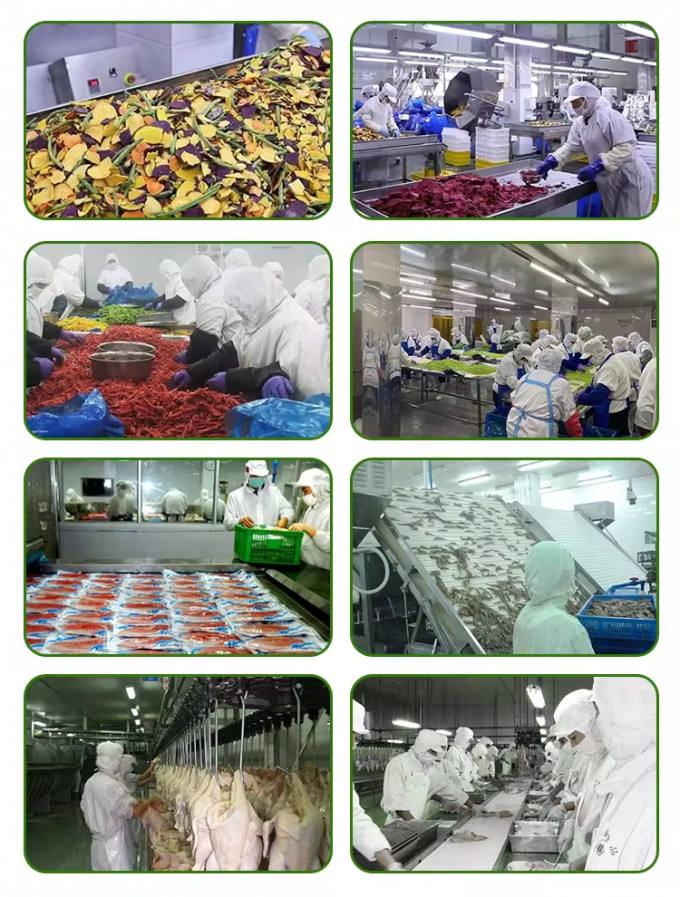 Zucca Congelata Sfusa All'ingrosso Confezionata a Cubetti Iqf, Pezzi di Zucca, Verdure Congelate 5