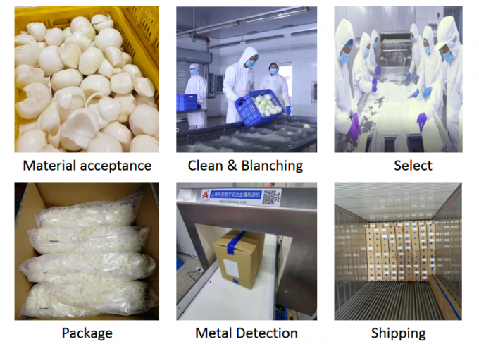 Vendita Calda di Cipolle a Cubetti Surgelate per Grossisti 1
