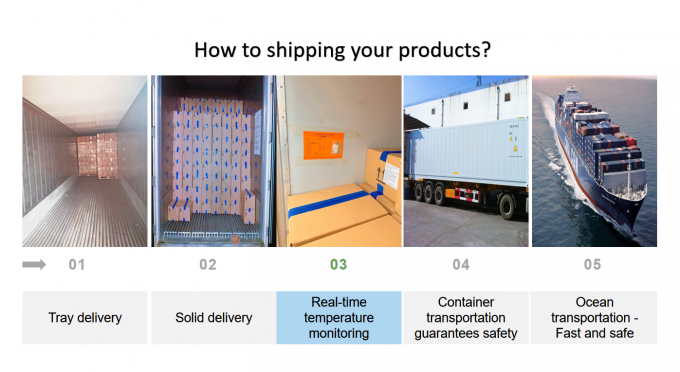 Banana Iqf Congelata dalla Cina Prodotto Caldo a Fette per l'Esportazione con Alta Qualit&agrave; 2