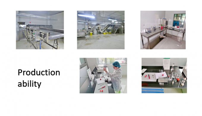 Fornitura cinese migliore qualit&agrave; buon prezzo Iqf verdura surgelata intera Okra Gumbo 7