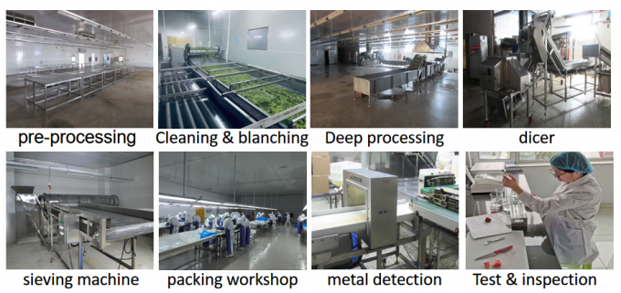 Fornitura cinese migliore qualit&agrave; buon prezzo Iqf verdura surgelata intera Okra Gumbo 8