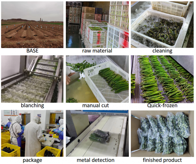 Punte di asparagi Esparragos Espargos Verdure surgelate IQF Asparagi verdi surgelati Semi di asparagi di grado A Imballaggio sfuso Prezzo degli asparagi 4