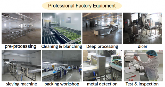 Prezzo di fabbrica del produttore IQF Cibo fresco di alta qualit&agrave; Lampone surgelato Serbia per l'esportazione 6