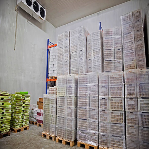 Prezzo Basso Alta Qualit&agrave; Basso Contenuto di Grassi Pulito HALAL Approvato Fegato di Agnello Congelato 3