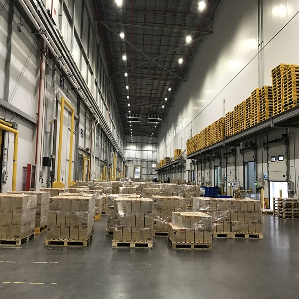 Prezzo Basso Alta Qualit&agrave; Basso Contenuto di Grassi Pulito HALAL Approvato Fegato di Agnello Congelato 1