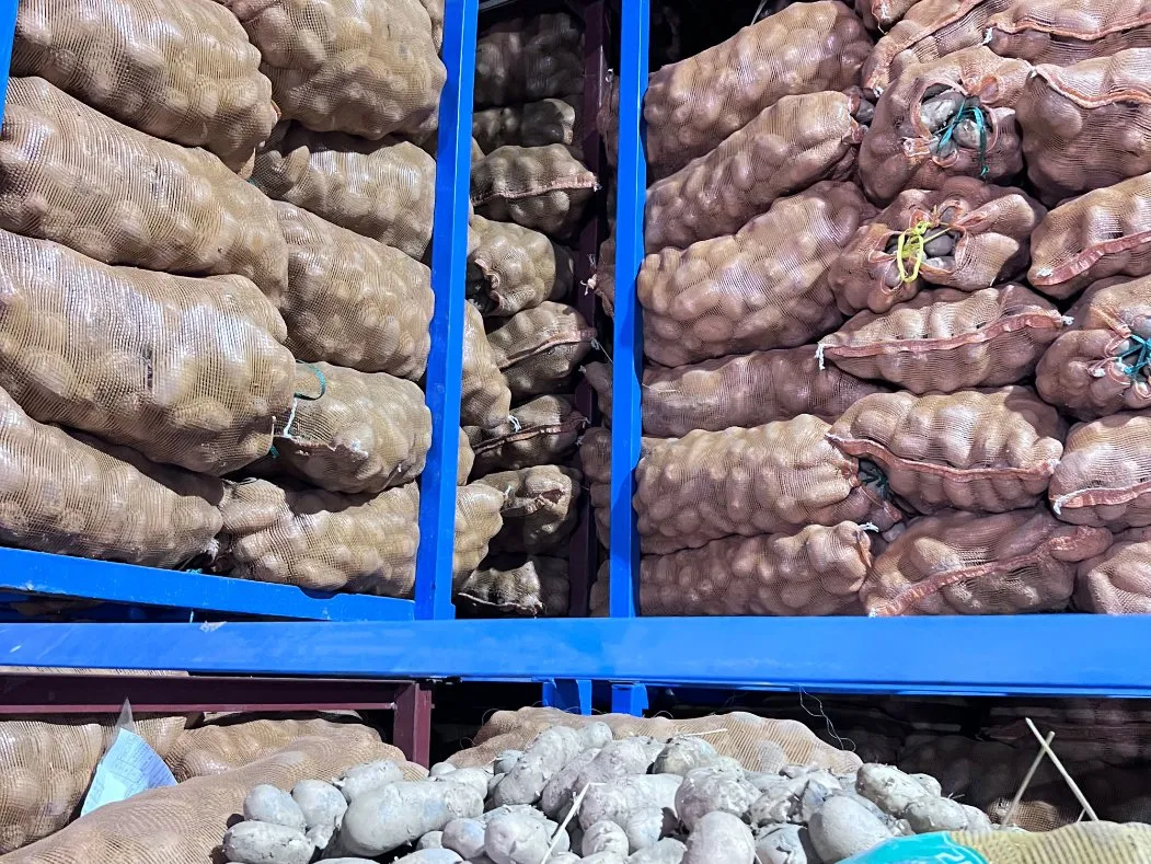 Caricamento e consegna tempestiva di patatine fritte congelate francesi 0