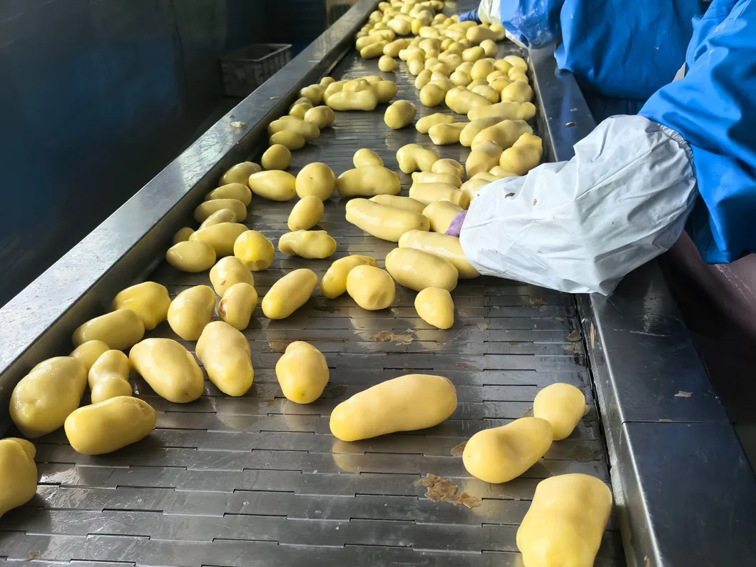 Caricamento e consegna tempestiva di patatine fritte congelate francesi 1