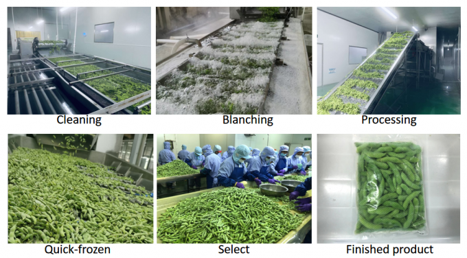 Fagioli di soia surgelati biologici sfusi ad alto contenuto proteico, pronti da cuocere, IQF 4