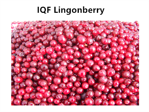 BRC,KOSHER,HALAL, IFS, BSCI IQF Lingonberry congelato Cranberry 100% frutta naturale marmellata imballaggio alla rinfusa con 2 anni di conservazione 0