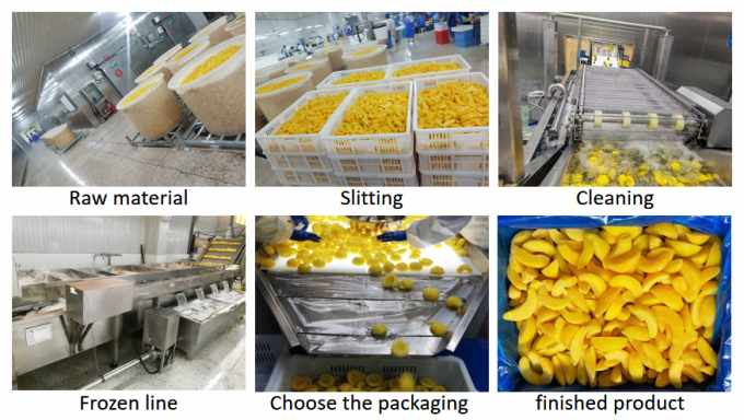 Mele pesche gialle surgelate sfuse da 10KG - Ideali per conserve e esportazione 3