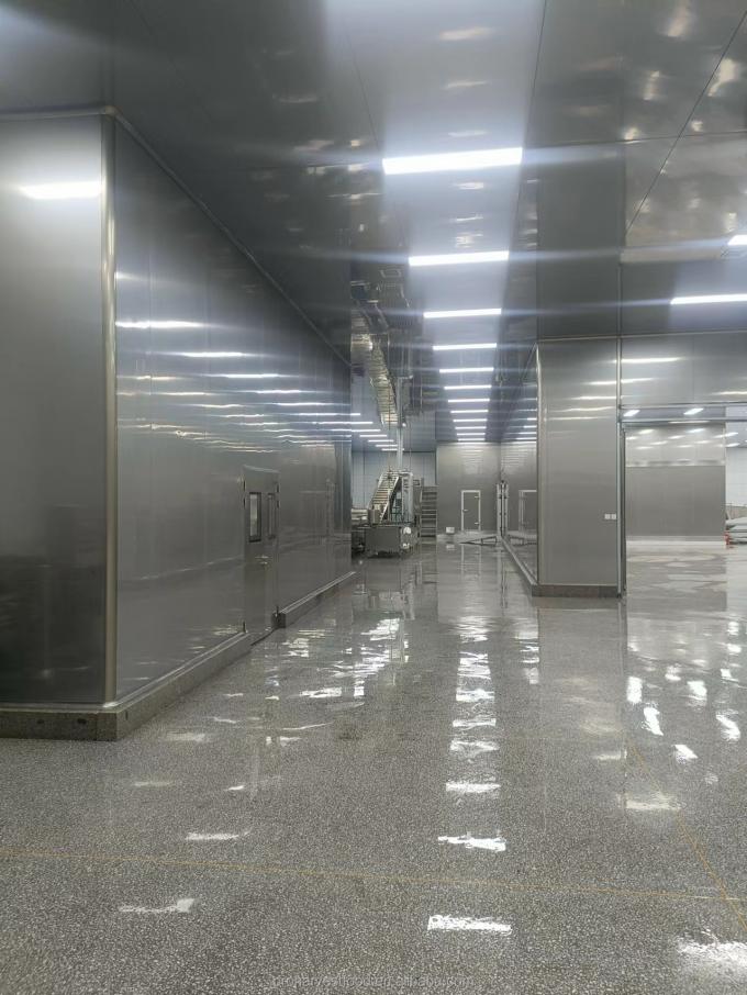 Prodotti caldi Prezzo di fabbrica Bianco Colore BRC Certificati HACCP Verdure surgelate IQF Aglio biologico 5