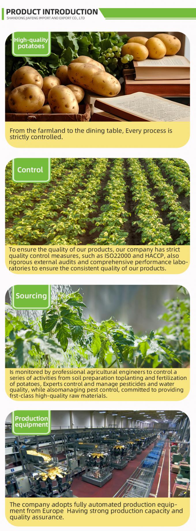 Patatine fritte surgelate automatiche Patatine fritte surgelate Patatine fritte di patate biologiche IQF Confezione sfusa da 10 kg Materiale fresco 2