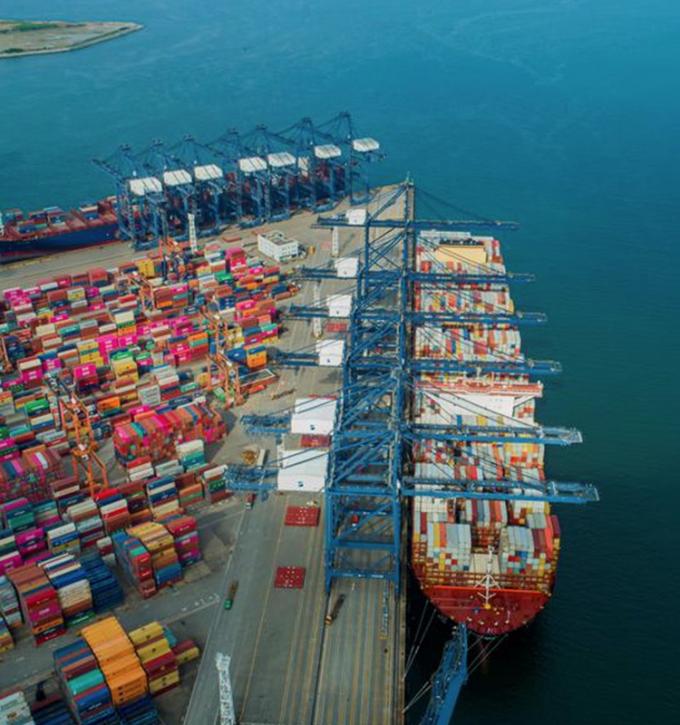 Mele pesche gialle biologiche IQF Frutta congelata Sapore dolce Confezione sfusa Conservato in acqua Polpa intera Cubetti Dadi Met&agrave; Disponibile 13