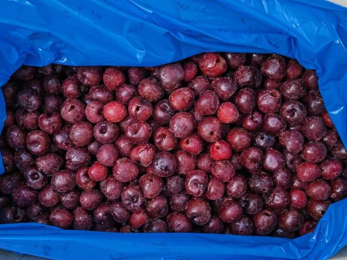 Sinocharm HACCP OEM Marchi Prezzo di fabbrica Wholesale senza pozzo IQF Frozen Fresh Acid Cherry Fruit dalla Cina per il dessert 0