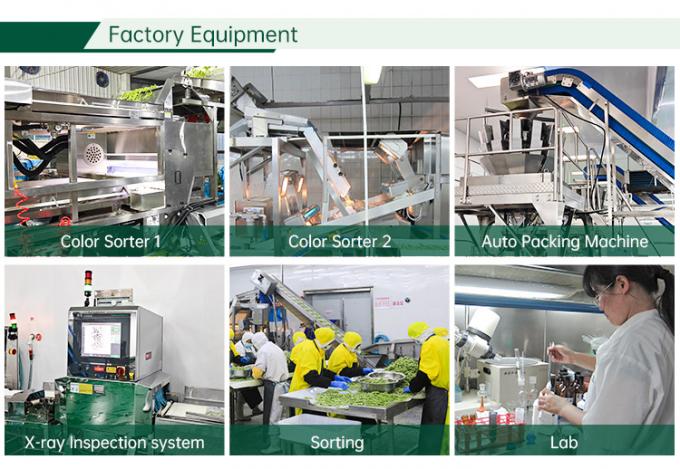 Fabbrica di verdure surgelate certificate HALAL IQF Cubetti di pomodoro 10mm Pomodori a cubetti surgelati in Cina 2