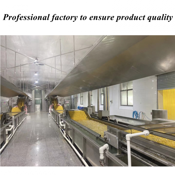 Mais dolce surgelato di alta qualit&agrave; a prezzo competitivo, chicchi di mais dolce, confezione sfusa biologica non OGM 1