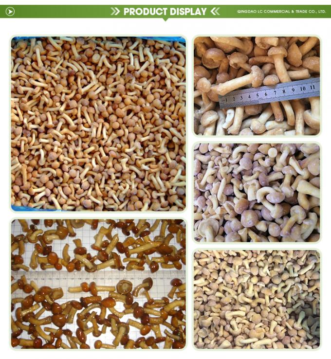 Funghi selvatici coltivati biologici Sani naturali Nutrienti Freschi Interi Surgelati Funghi IQF Nameko Surgelati 1