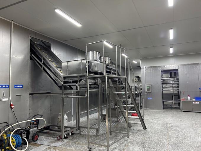 Sinocharm HALAL KOSHER Fornitore di zenzero a cubetti IQF cinese fresco 4*4mm 1 kg di zenzero surgelato per spezie 4