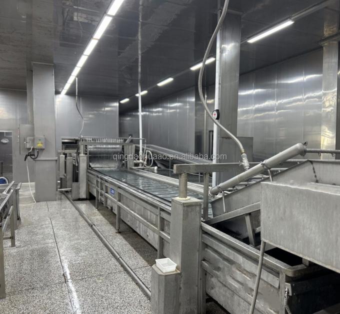 Sinocharm HALAL KOSHER Fornitore di zenzero a cubetti IQF cinese fresco 4*4mm 1 kg di zenzero surgelato per spezie 5