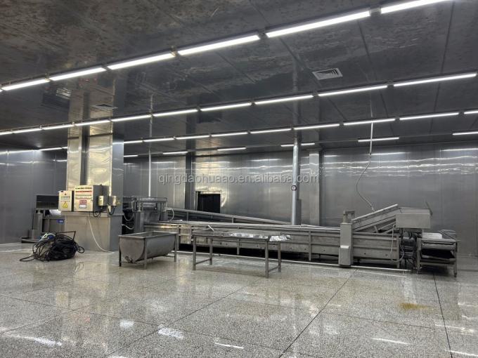 Sinocharm HALAL KOSHER Fornitore di zenzero a cubetti IQF cinese fresco 4*4mm 1 kg di zenzero surgelato per spezie 6