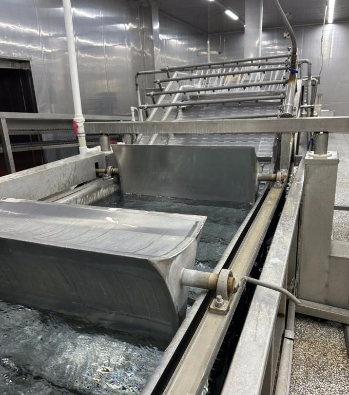 Sinocharm HALAL KOSHER Fornitore di zenzero a cubetti IQF cinese fresco 4*4mm 1 kg di zenzero surgelato per spezie 8