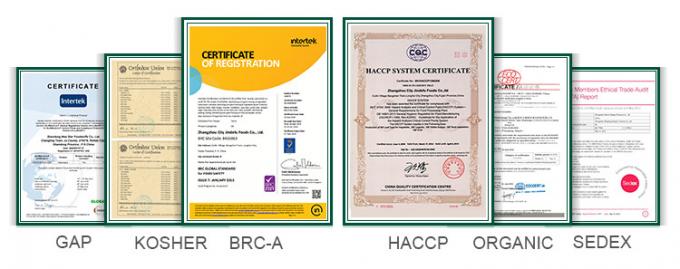 Sinocharm HALAL KOSHER Fornitore di zenzero a cubetti IQF cinese fresco 4*4mm 1 kg di zenzero surgelato per spezie 15