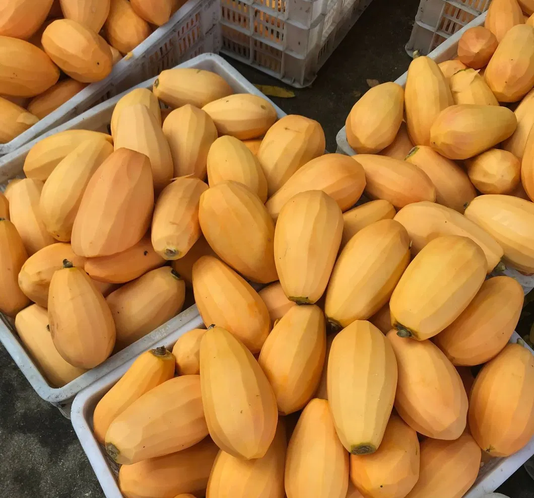 Aumenta le tue vendite con deliziosa frutta congelata direttamente IQF papaya 0
