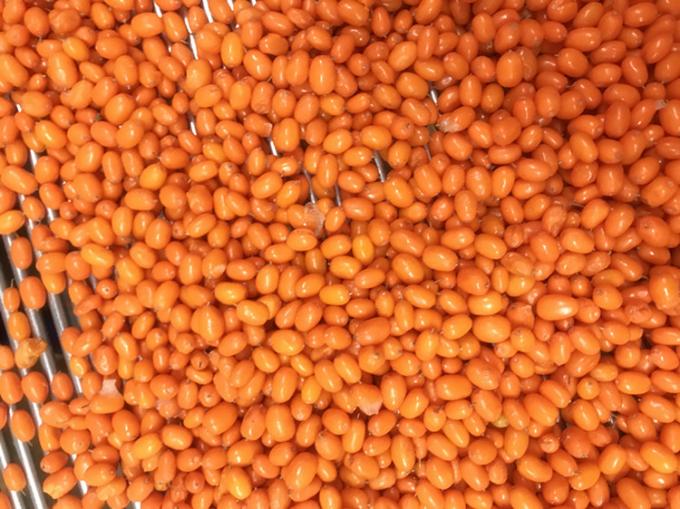 Origine Cina IQF Fresco Frozen Wild Sea Buckthorn First Class Sea-buckthorn Lingonberry Framboccia, mirtillo Frutti di bosco misti 2