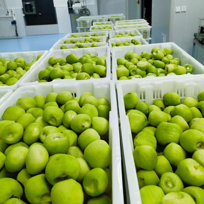 Kiwi Frutta Congelata Frutta Congelata Sfera di Kiwi Qualit&agrave; Naturale 3