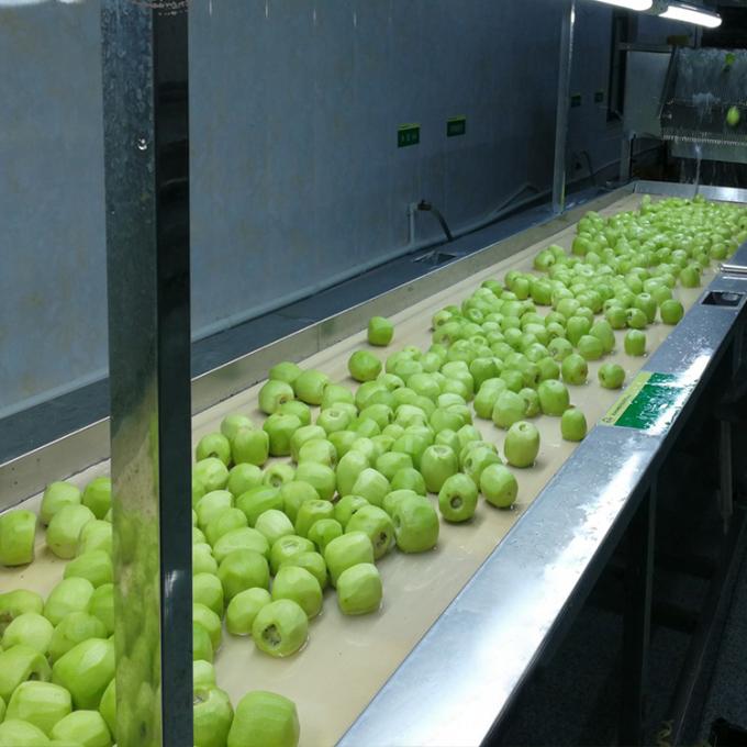 Kiwi Frutta Congelata Frutta Congelata Sfera di Kiwi Qualit&agrave; Naturale 5