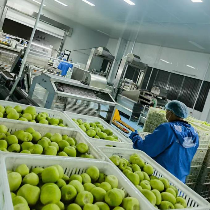 Kiwi Frutta Congelata Frutta Congelata Sfera di Kiwi Qualit&agrave; Naturale 4