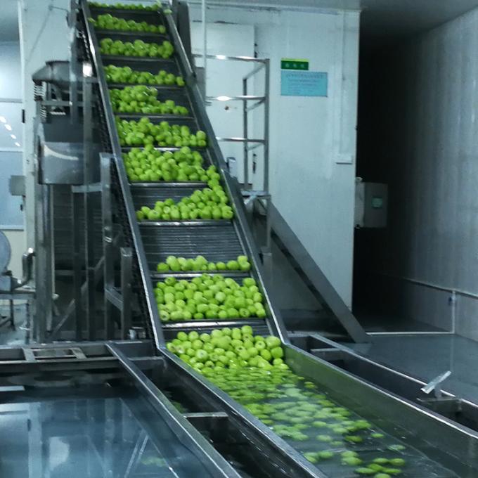 Kiwi Frutta Congelata Frutta Congelata Sfera di Kiwi Qualit&agrave; Naturale 6