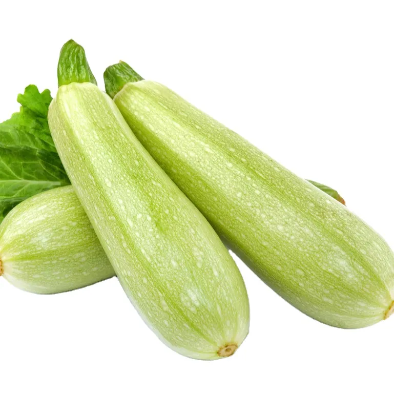 Verdure surgelate per il tuo business alimentare Perfetto per i tuoi bisogni alimentari zucchine 2