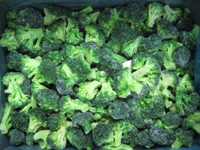 Prezzo all'ingrosso di verdure surgelate IQF di alta qualit&agrave; per fabbrica: Broccoli surgelati 3