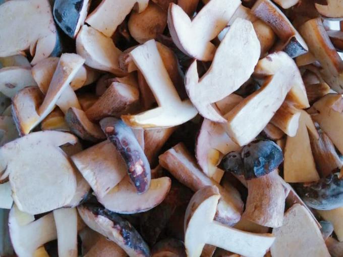 Funghi Surgelati IQF BOLETUS EDULIS Grado A 24 Mesi di Conservazione ISO HACCP BRC KOSHER HALAL Certificato 10 tonnellate MOQ 1