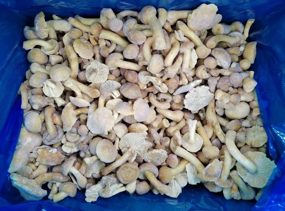 Prova la comodità e il gusto dei funghi surgelati dai migliori fornitori 1