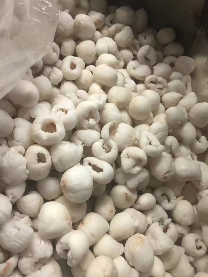 Lichi intero sgusciato surgelato in imballaggio in cartone massiccio IQF Lichi dal sapore dolce Frutta di lichi con mango Variet&agrave; di frutti conservati 3