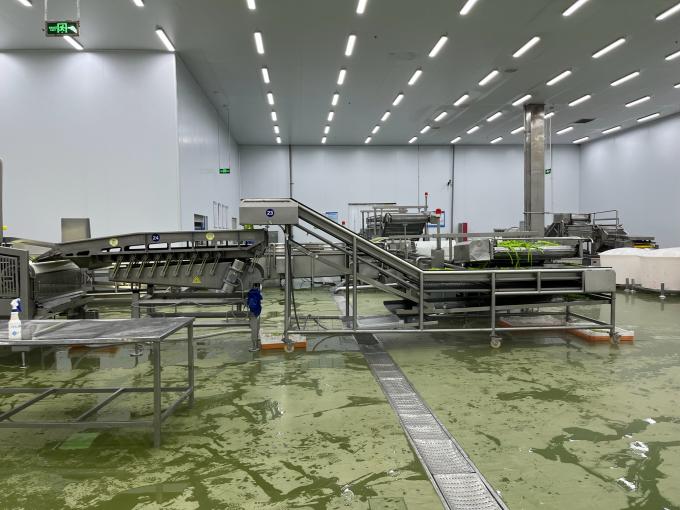 Lamponi freschi surgelati di alta qualit&agrave;, raccolti a mano per un sapore dolce, ideali per succhi, dessert e frullati. 9