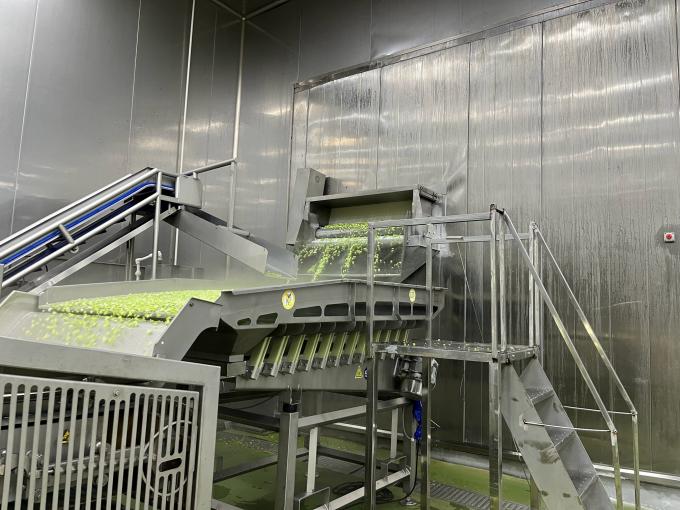 Lamponi freschi surgelati di alta qualit&agrave;, raccolti a mano per un sapore dolce, ideali per succhi, dessert e frullati. 10