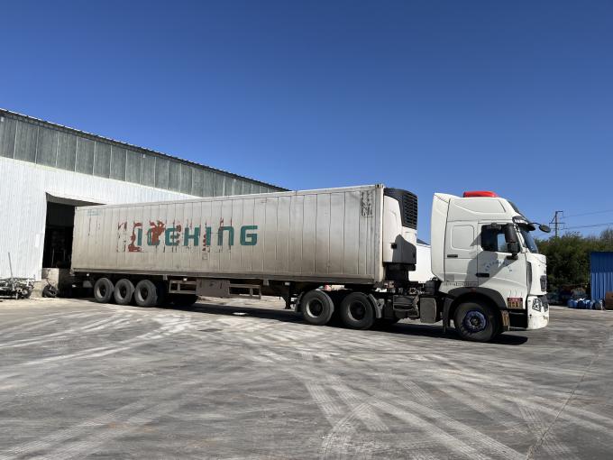 Lamponi freschi surgelati di alta qualit&agrave;, raccolti a mano per un sapore dolce, ideali per succhi, dessert e frullati. 13