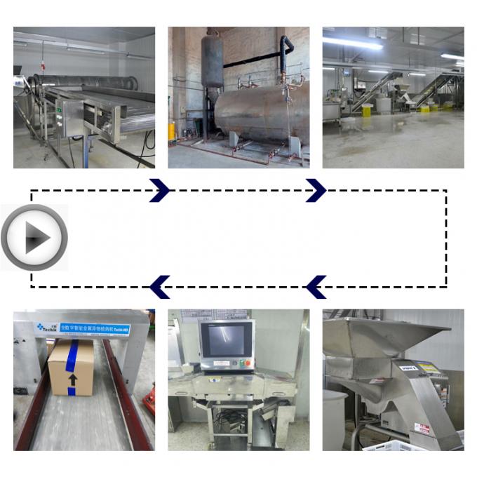Migliori funghi d'ostrica congelati di alta qualit&agrave; all'ingrosso 3