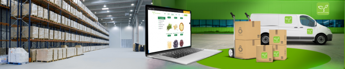 Migliori funghi d'ostrica congelati di alta qualit&agrave; all'ingrosso 8