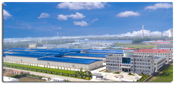 Petti di pollo senza osso surgelati di alta qualit&agrave; pronti per l'esportazione in imballaggi sfusi 4