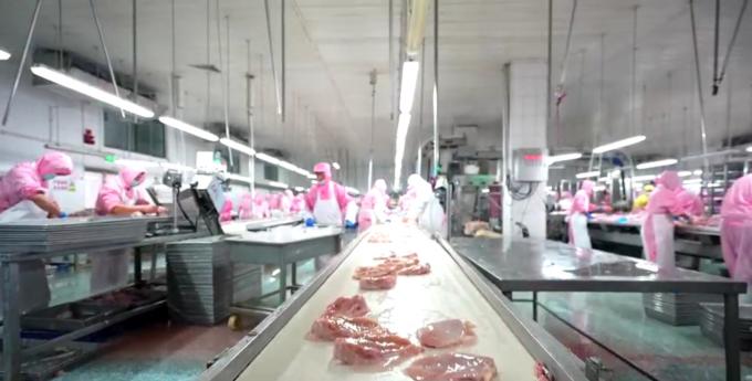 Petti di pollo senza osso surgelati di alta qualit&agrave; pronti per l'esportazione in imballaggi sfusi 6